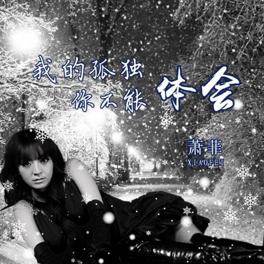 我的孤独你不能体会（萧菲演唱歌曲）