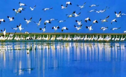 康山候鸟自然保护区