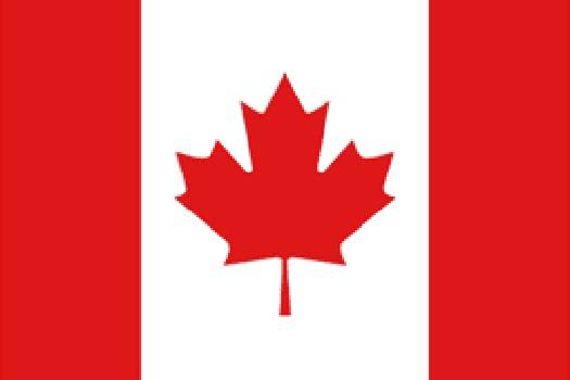 2022年北京冬残奥会加拿大体育代表团