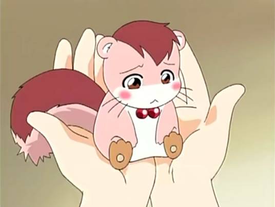 奈奈(韩国动画《魔法学园》中韩娜英的宠物)