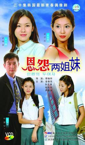 恩怨两姐妹二十集韩国最新青春偶像剧二碟装（经济装）(DVD)