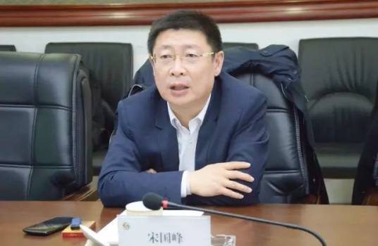 宋国峰（特锐德副董事长，董事）