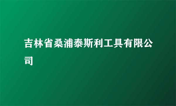 吉林省桑浦泰斯利工具有限公司
