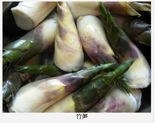 清城竹笋