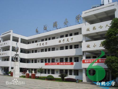 白鹤小学（贵州省遵义县泮水镇白鹤小学）