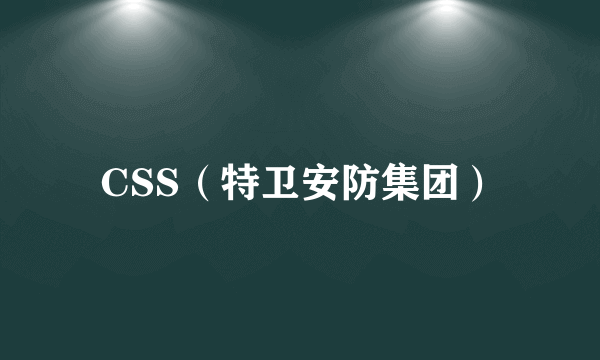 CSS（特卫安防集团）