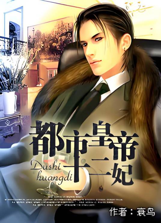 都市皇帝十二妃