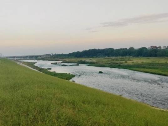 大沙河（安徽省桐城市境内河流）