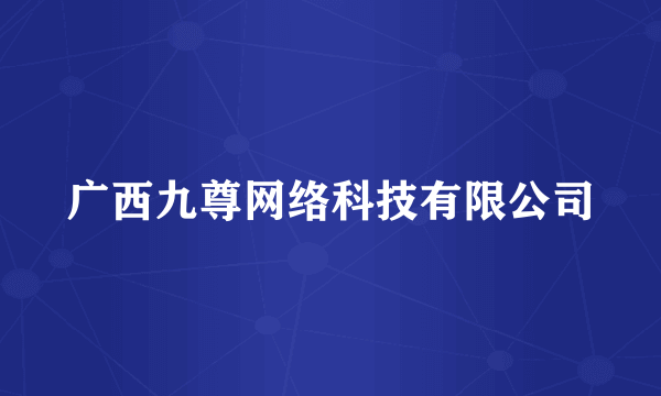 广西九尊网络科技有限公司