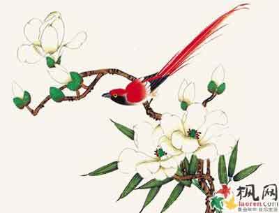 中国画技法：玉兰花