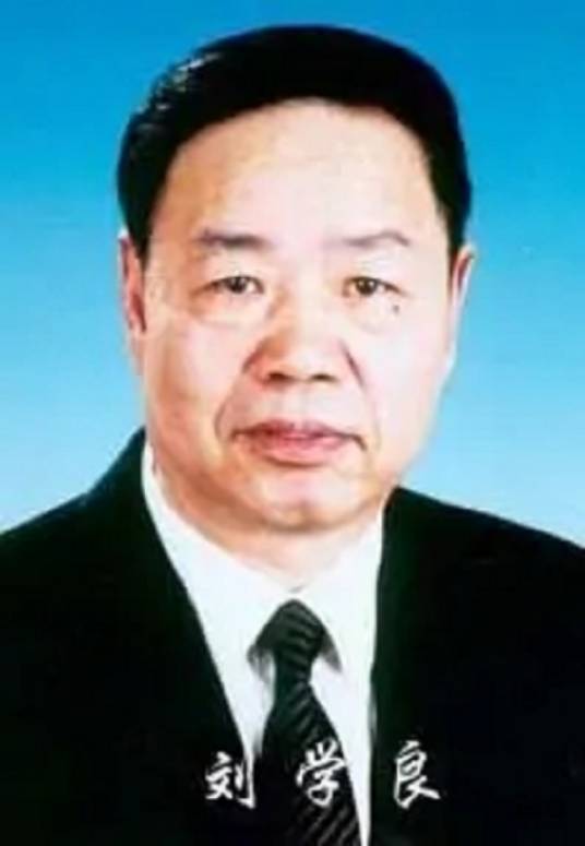 刘学良（原国有重点大型企业监事会主席）