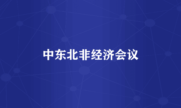 中东北非经济会议