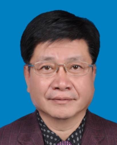 张龙（宁夏回族自治区审计厅原党组成员、副厅长、一级巡视员）