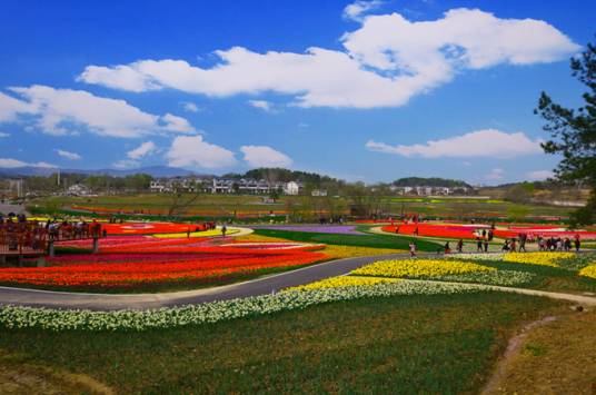 武汉市黄陂区木兰花乡景区