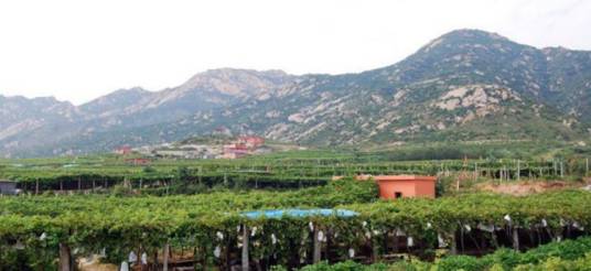 平度大泽山公园