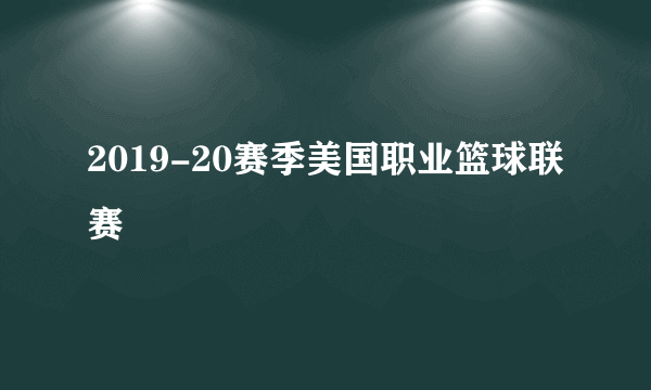 2019-20赛季美国职业篮球联赛