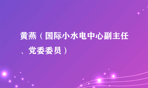 黄燕（国际小水电中心副主任、党委委员）