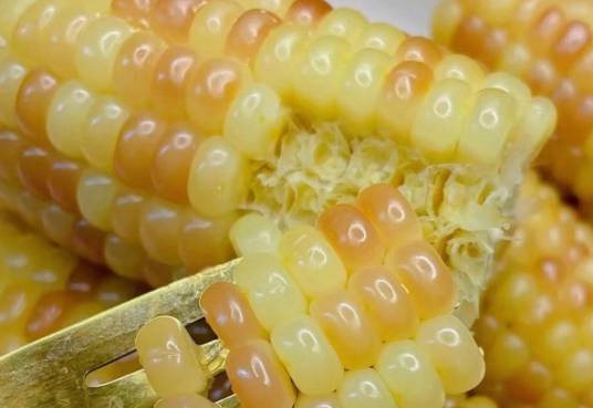 甜糯玉米