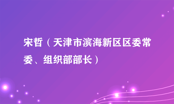 宋哲（天津市滨海新区区委常委、组织部部长）