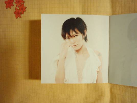 花言巧语（卢巧音音乐专辑）