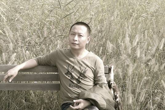 魏风华（中国著名畅销书男作家、编剧、当下深具创作活力和畅销品质的一线作家）