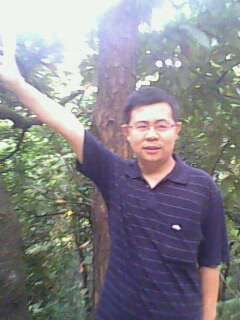 向新平（深圳鹏城会计师事务所职员）