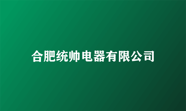 合肥统帅电器有限公司