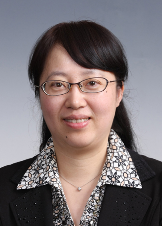 张岚（上海市长宁区纪委副书记、区监察委员会副主任）