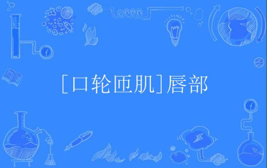 [口轮匝肌]唇部