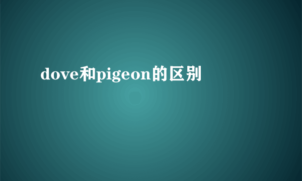 dove和pigeon的区别