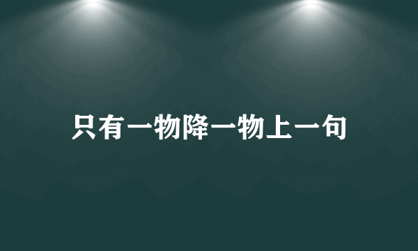只有一物降一物上一句