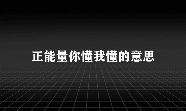 正能量你懂我懂的意思
