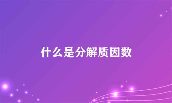 什么是分解质因数