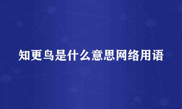 知更鸟是什么意思网络用语