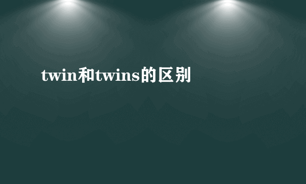 twin和twins的区别