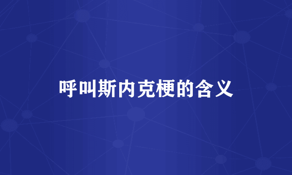 呼叫斯内克梗的含义