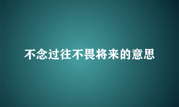 不念过往不畏将来的意思
