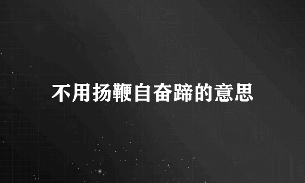 不用扬鞭自奋蹄的意思