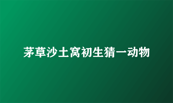 茅草沙土窝初生猜一动物