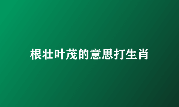根壮叶茂的意思打生肖