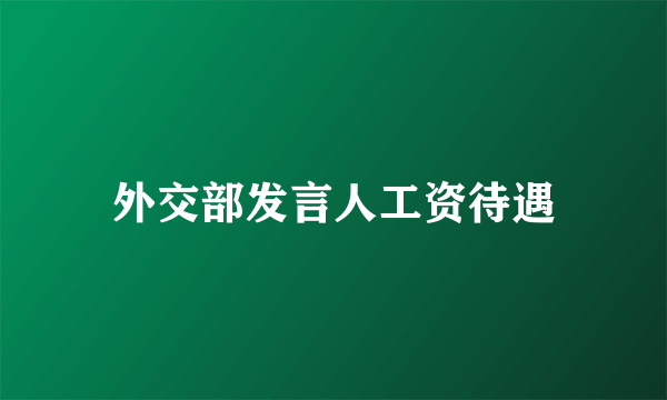 外交部发言人工资待遇