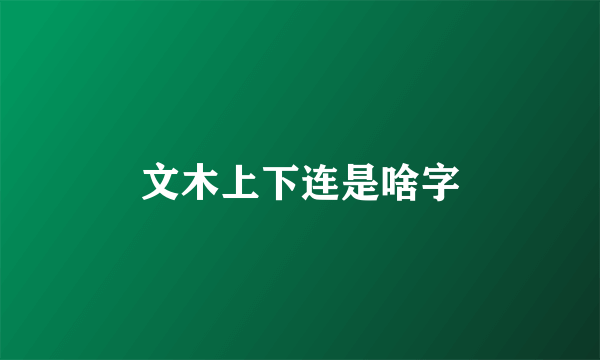 文木上下连是啥字