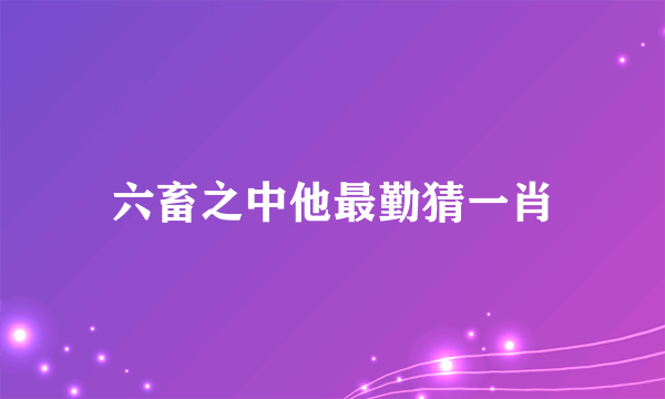 六畜之中他最勤猜一肖