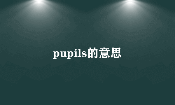 pupils的意思