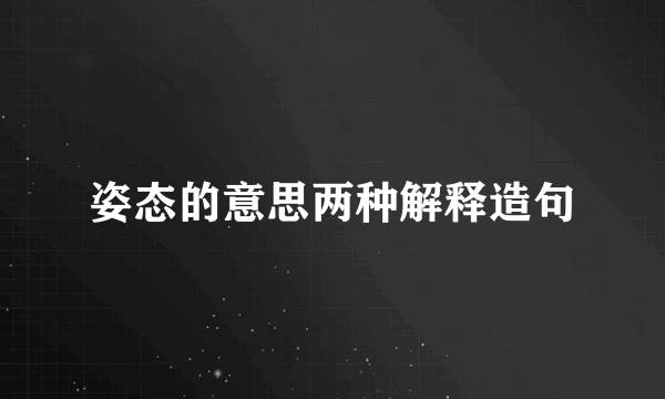 姿态的意思两种解释造句