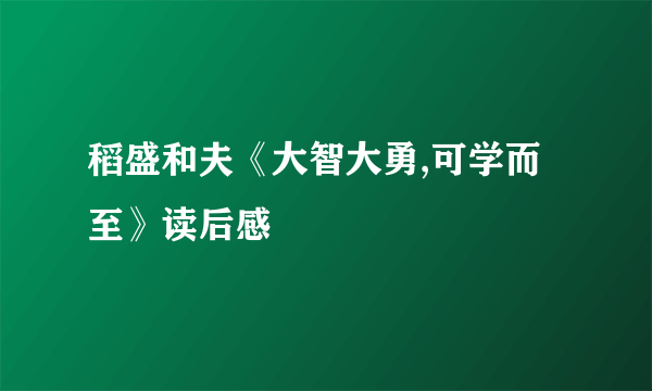 稻盛和夫《大智大勇,可学而至》读后感