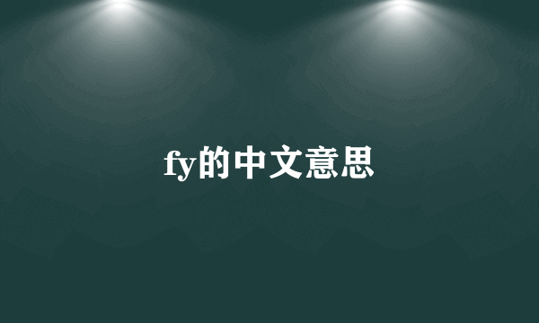 fy的中文意思
