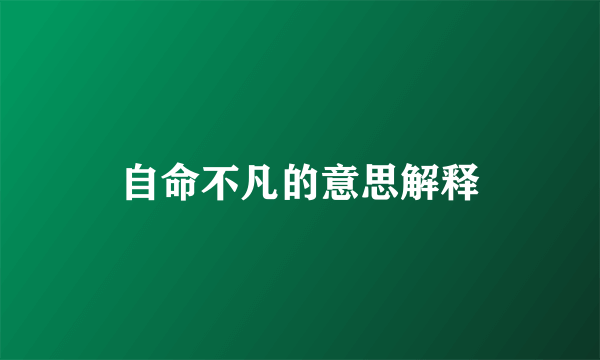 自命不凡的意思解释