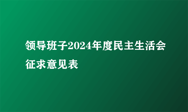 领导班子2024年度民主生活会征求意见表