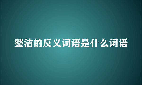 整洁的反义词语是什么词语